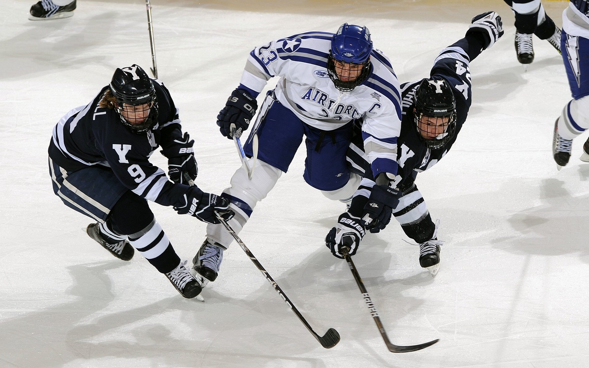 “篮球未来”青少年篮球研究会成立，推动行业规范化发展，青少年篮球特色学校